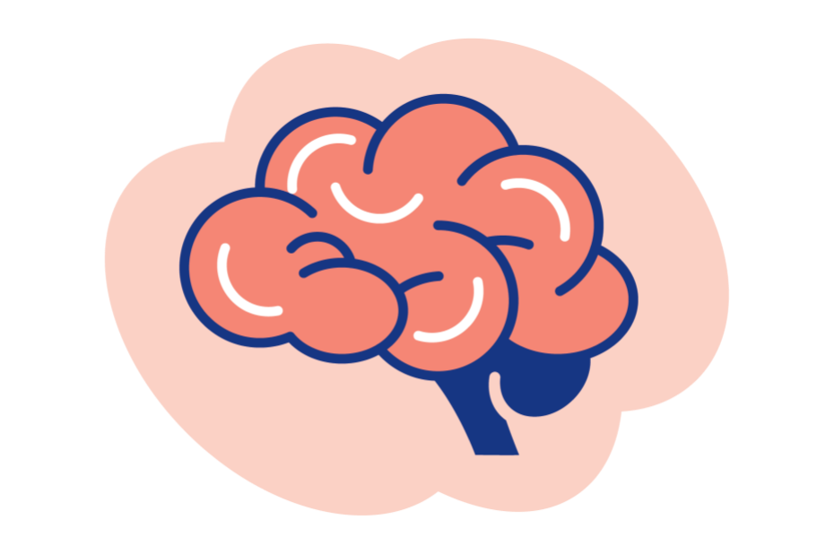 brain