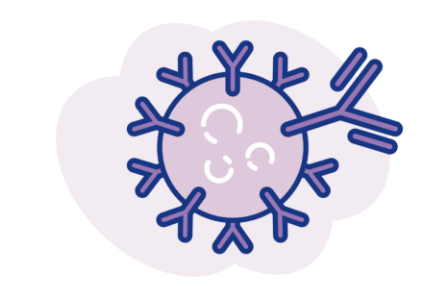 immunnonoloy