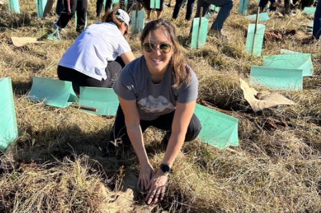 tree planting